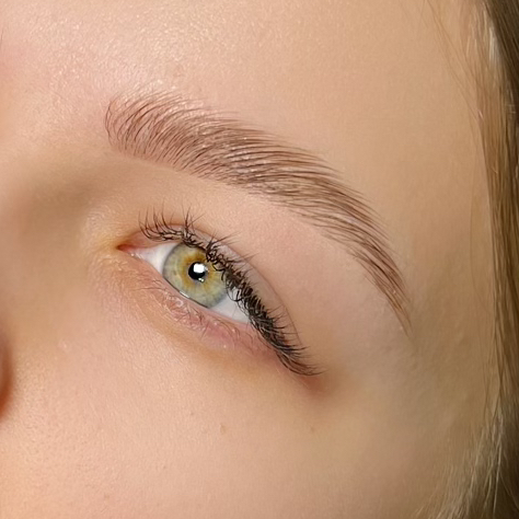 Окрашивание краской/хной + коррекция воск/пинцет