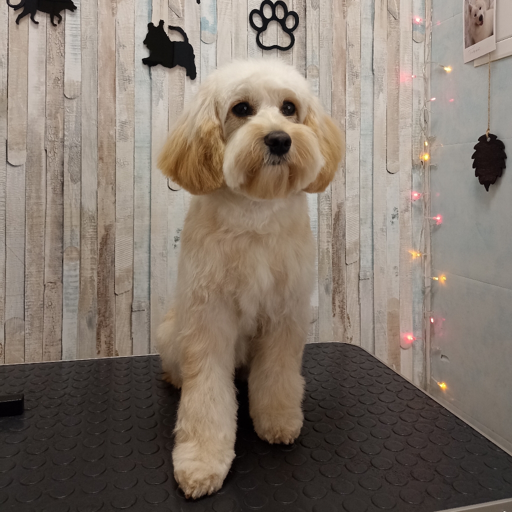 Комплекс Мальтипу