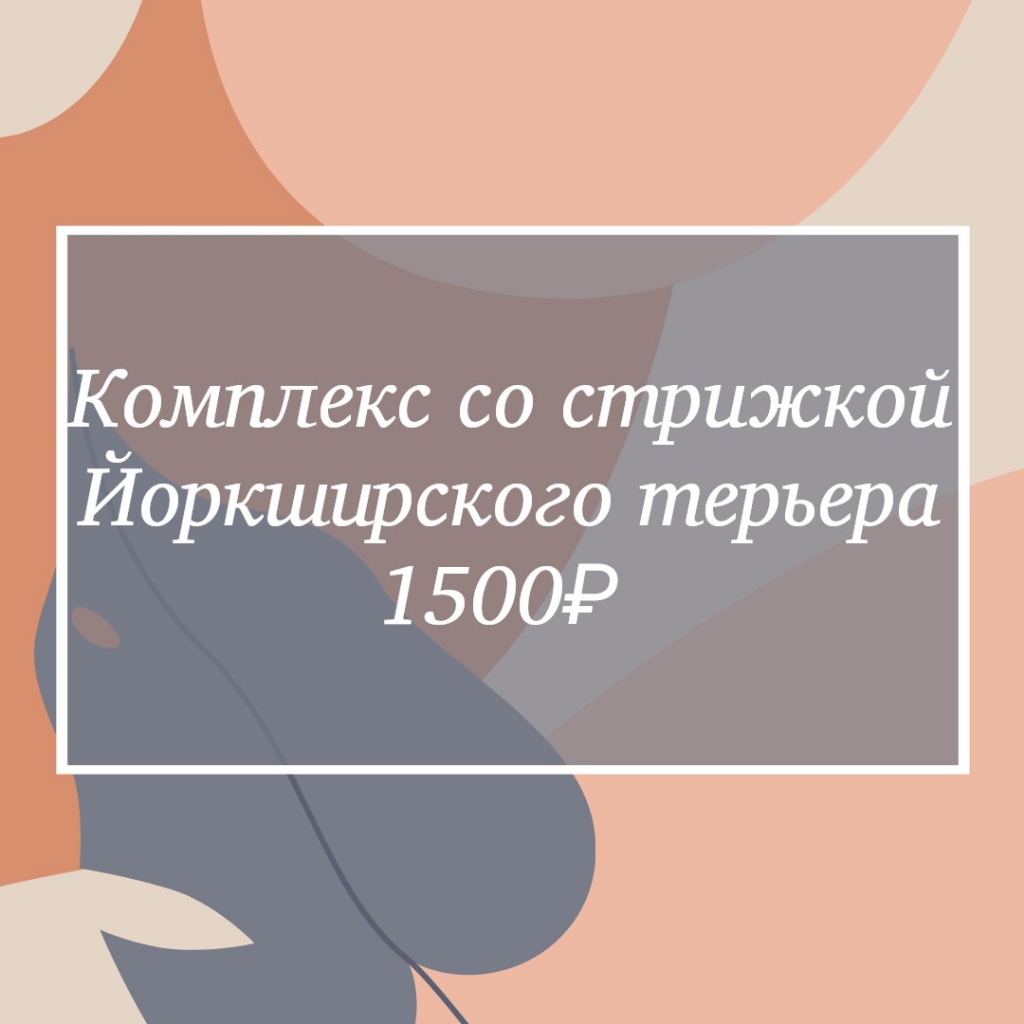 полный комплекс йоркширского терьера