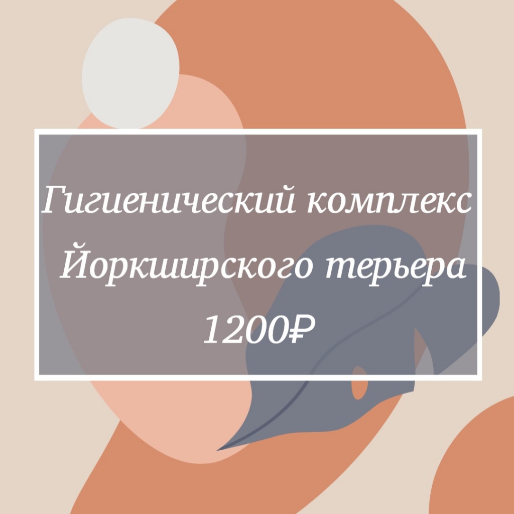 Гигиена йорка