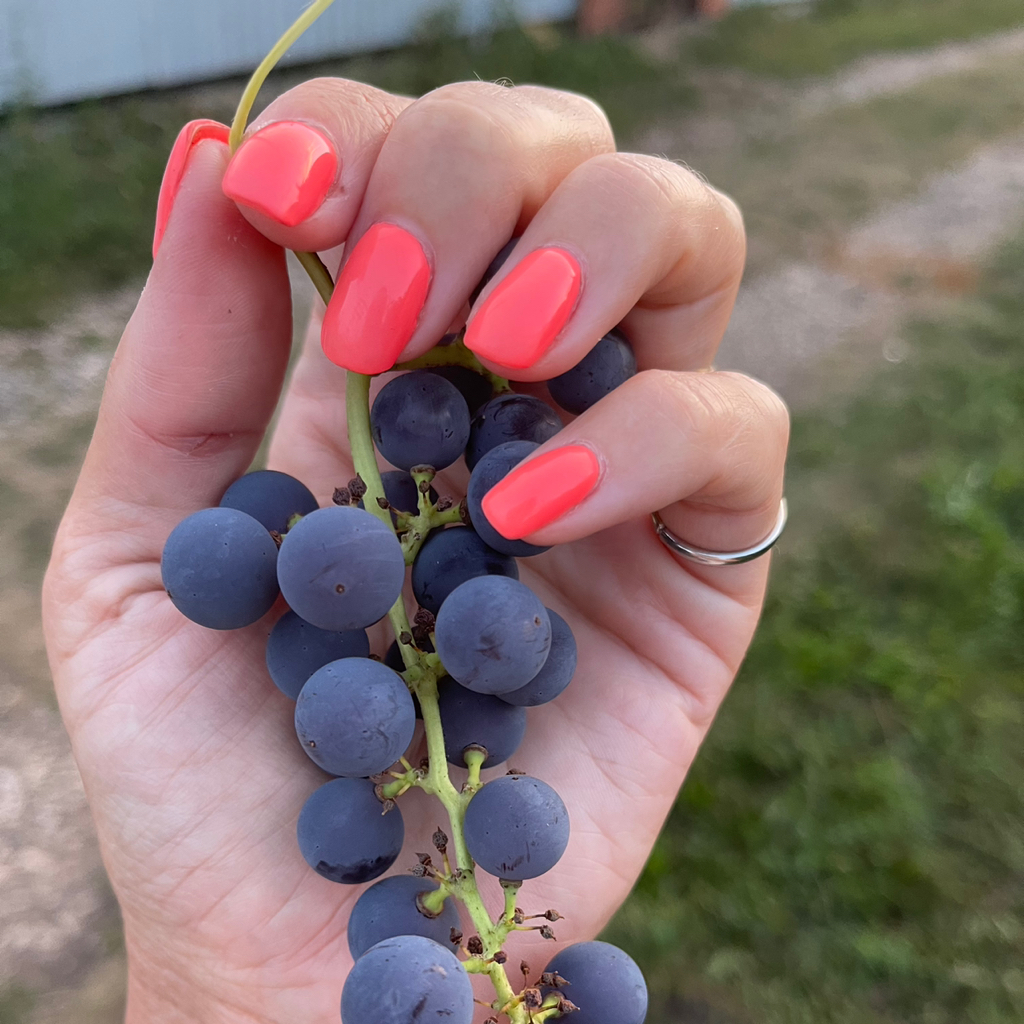 3.1 Маникюр+гельлак однотон (работа др.мастера+200 руб.) (прайс 01.2025)