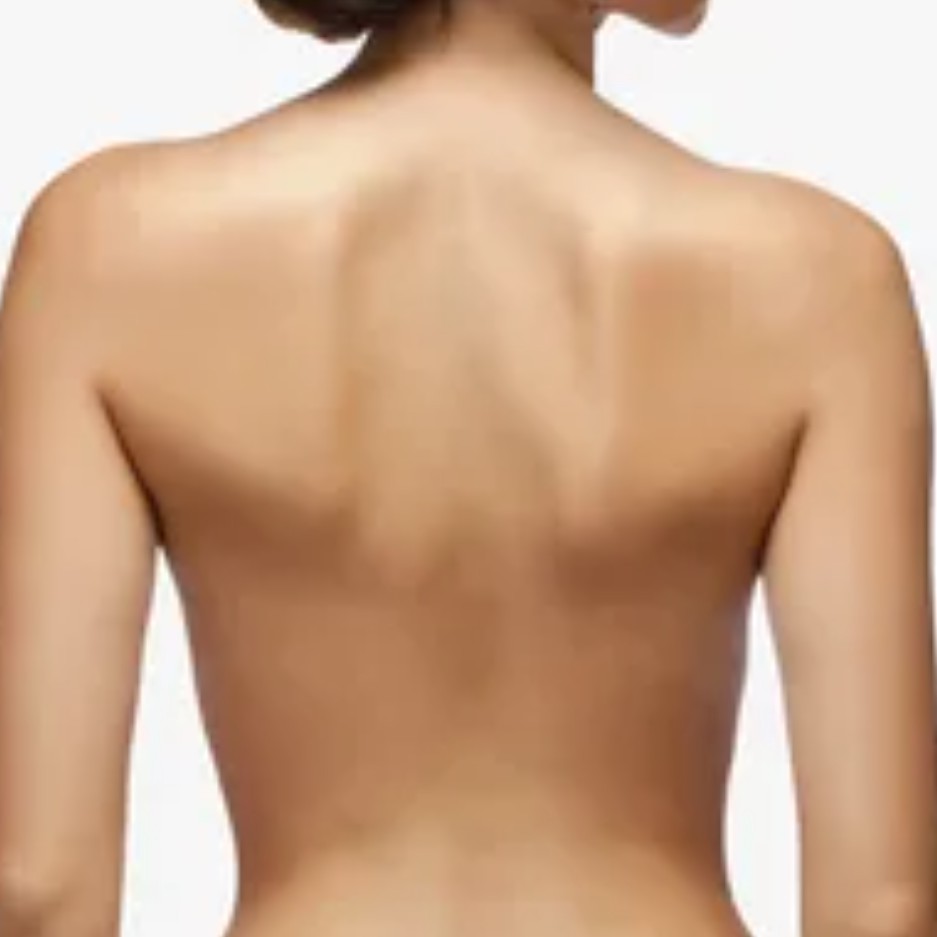 Спина (до уровня поясницы)