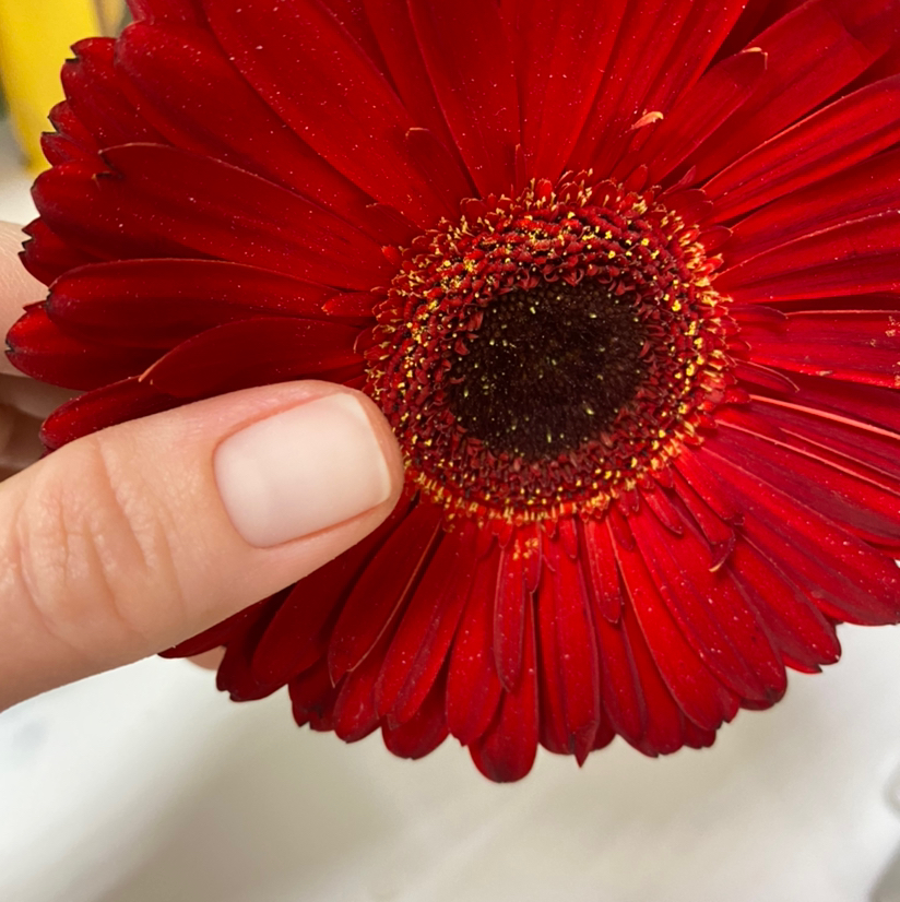 Маникюр без покрытия