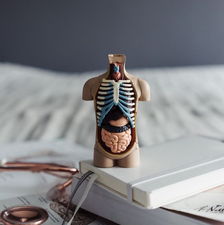 Остеопластика