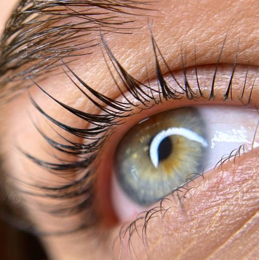 Окрашивание ресниц ТОП МАСТЕР