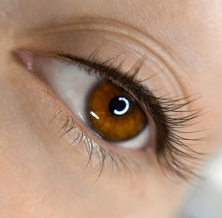 Рефреш (коррекция спустя более 6 месяцев) межреснички(Мастер)