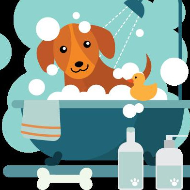 Сеанс SPA: гидромассаж + озонотерапия