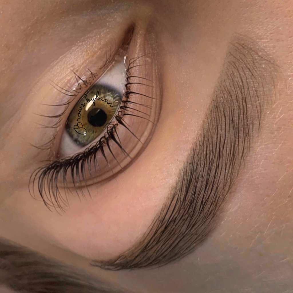 Комбо 3 Лами ресниц + брови (окрашивание + коррекция)