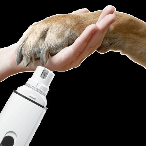 Подпиливание когтей гриндером(электрической пилочкой)-дополнительная услуга, оплачивается отдельно.