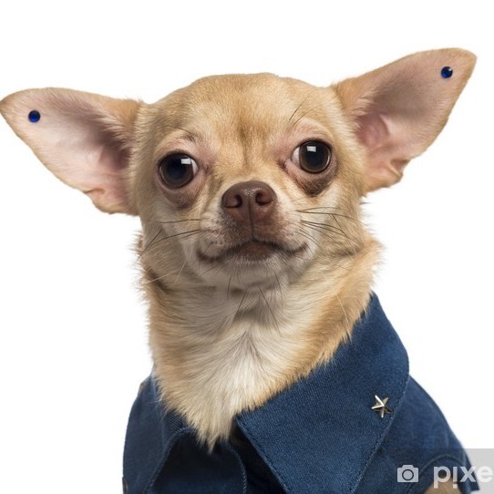 стразы на ушки (цена за штуку)