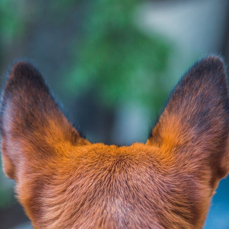 Окантовка ушек