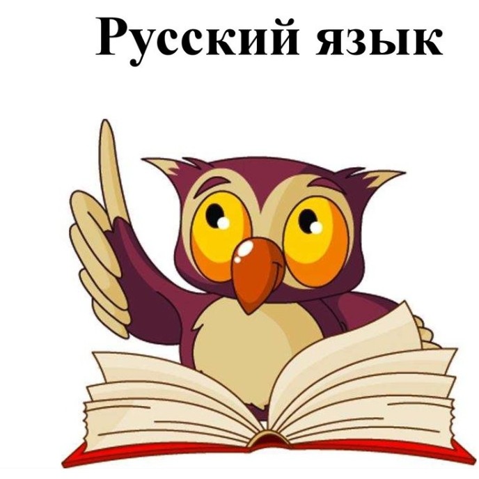 Индивидуальное занятие по русскому ОГЭ/ВПР, (абонемент, онлайн)