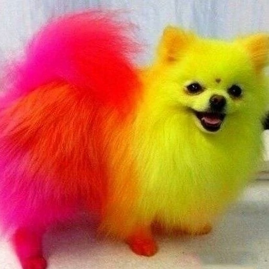 Окрашивание креативное (цена за 1 зону)