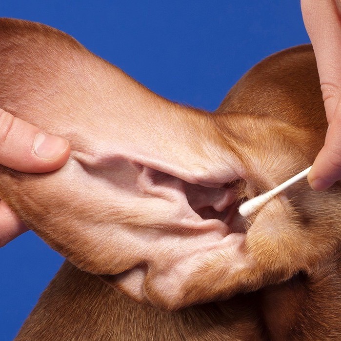 Чистка ушек