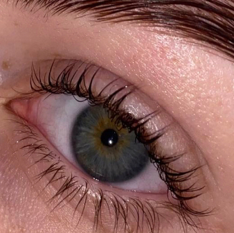 Окрашивание ресниц краской( без ламинирования)