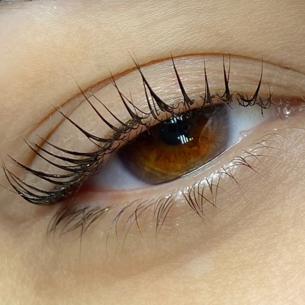 Ламинирование ресниц+ботокс (+окрашивание)