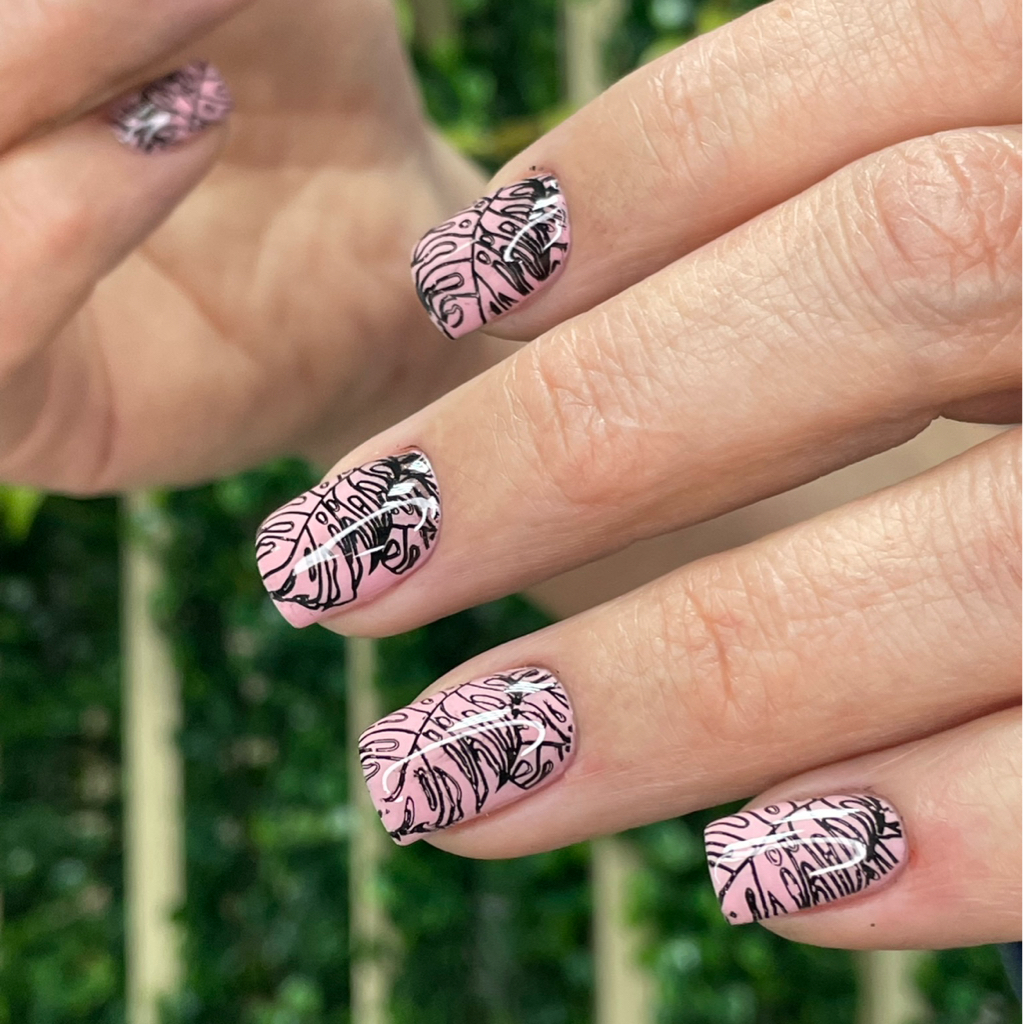 Пакет «Стандарт» (однотонное покрытие)