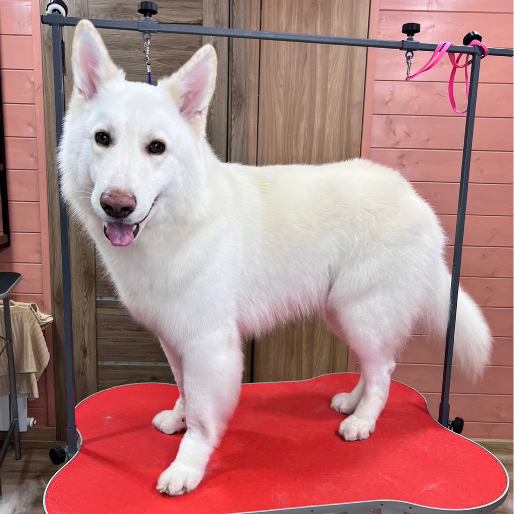 БШО, полный комплекс