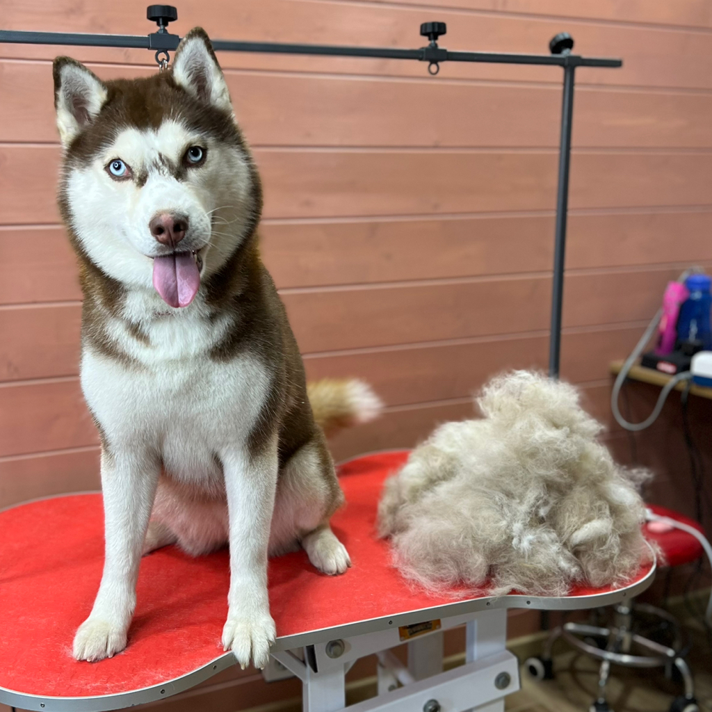 Хаски, полный комплекс