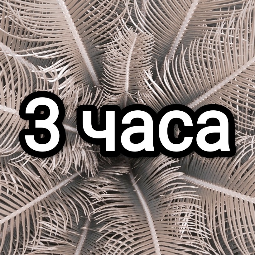 Аренда на 3 часа