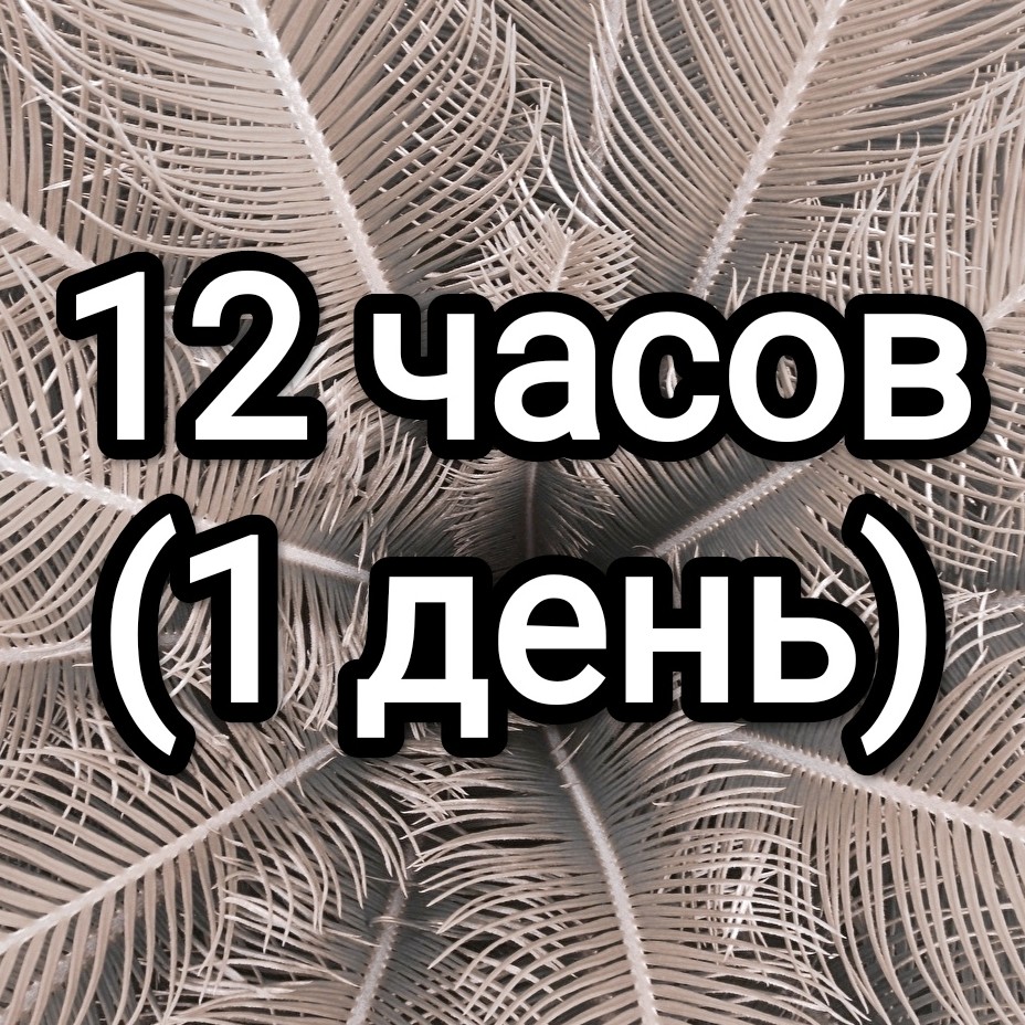 Аренда кресла (12 часов)