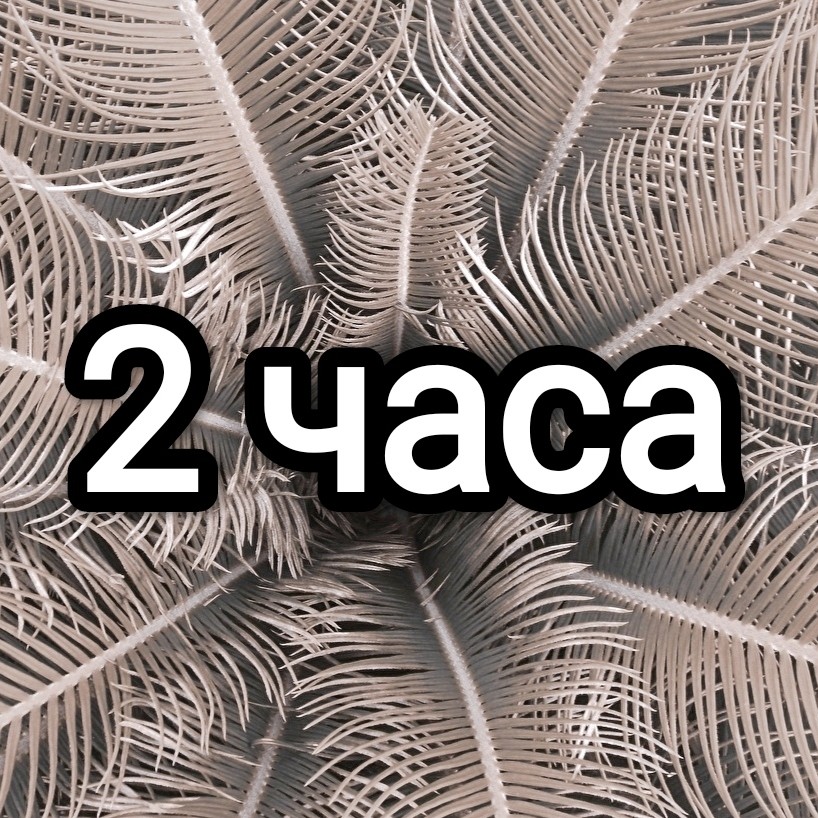 Аренда на 2 часа