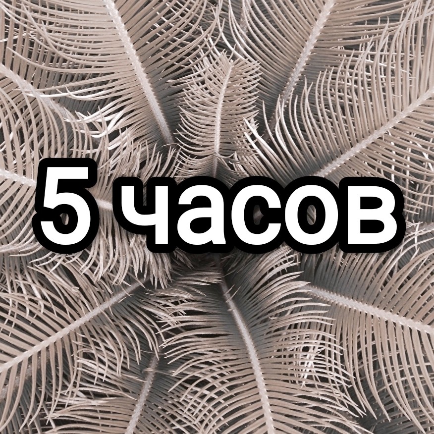 Аренда на 5 часов