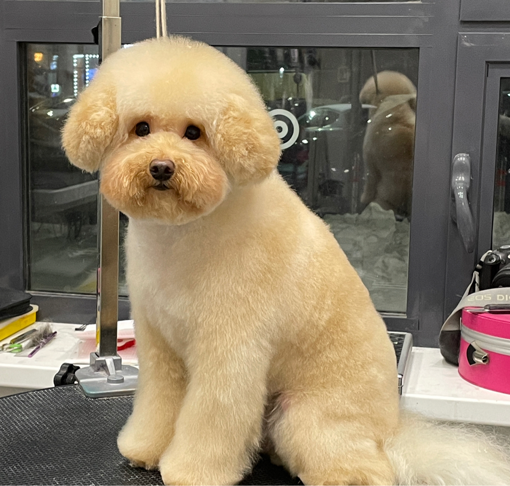 Комплекс Мальтипу/Помапу до 28 см