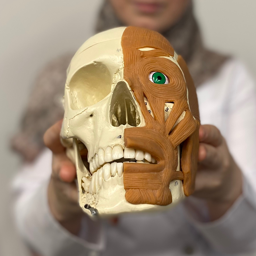 Фейспластика