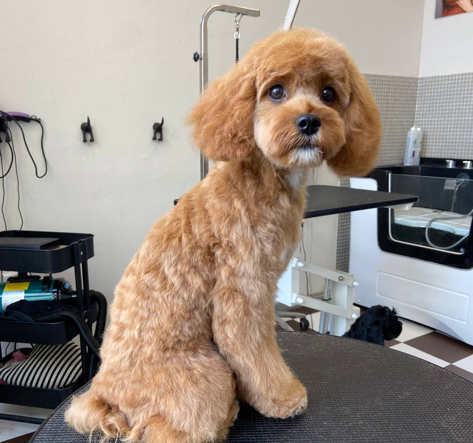 Комплекс Кавапу