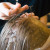 Мелирование волос на шапку (без расходника и красителя)