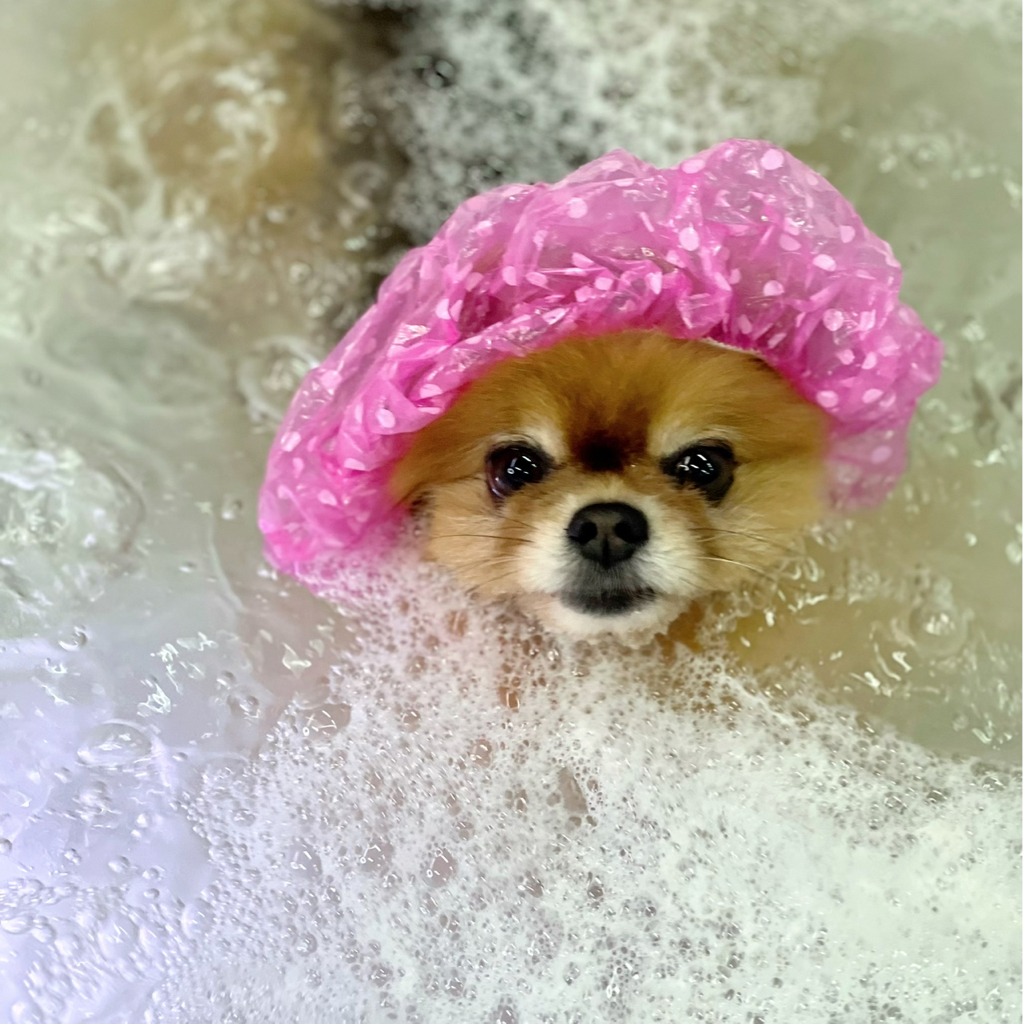 Маска zeolite при алопеции