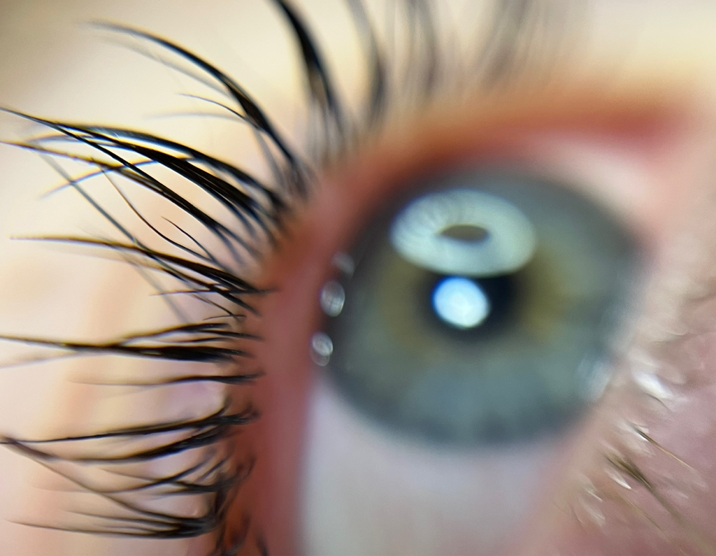 Ламинирование ресниц