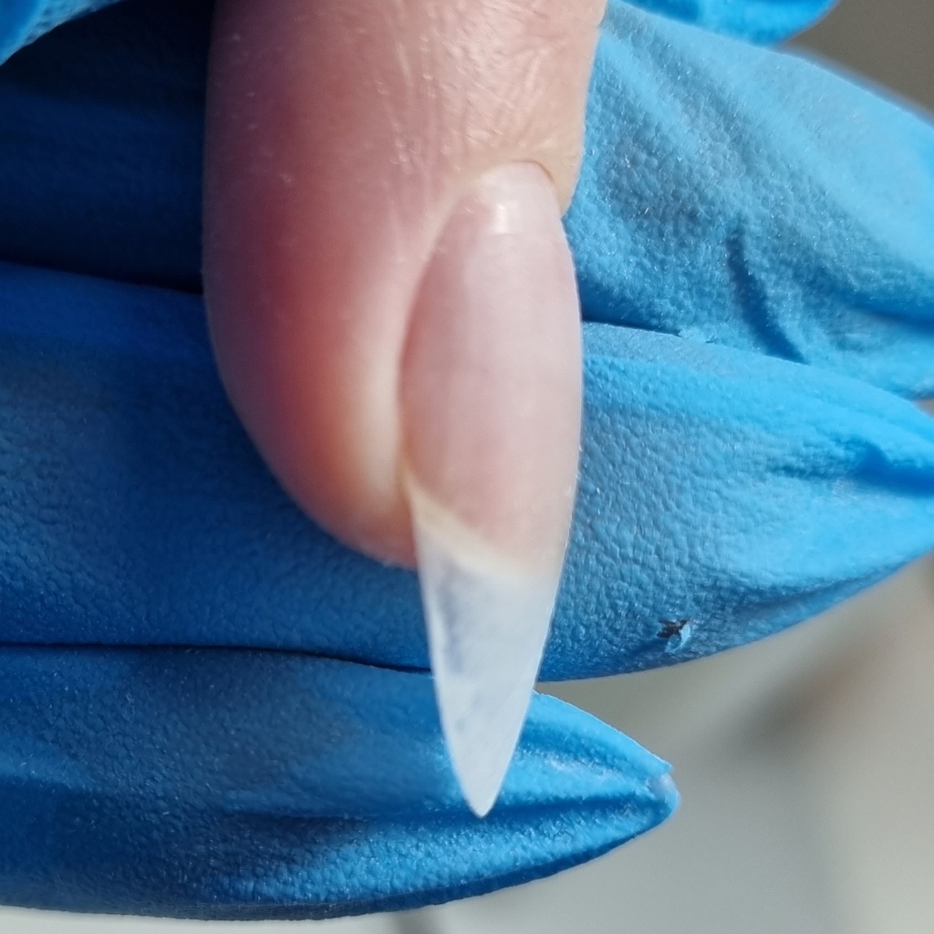 НАРАЩИВАНИЕ НОГТЕЙ