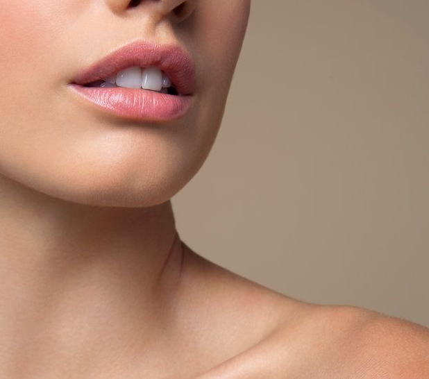 Верхняя губа 1000W