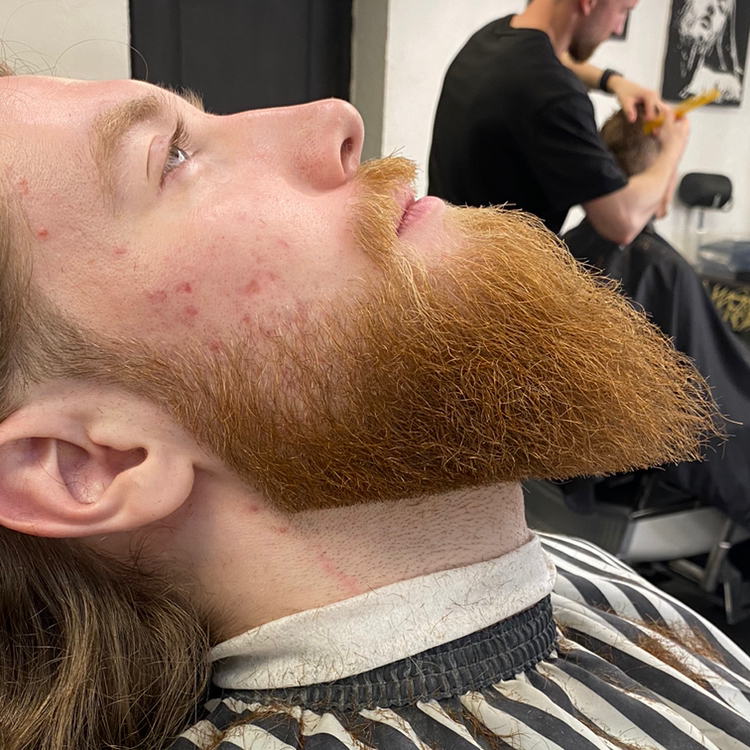 Моделирование бороды