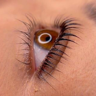 Ламинирование ресниц (ламинирование, окрашивание краской, уход)