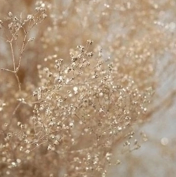 Бикини среднее