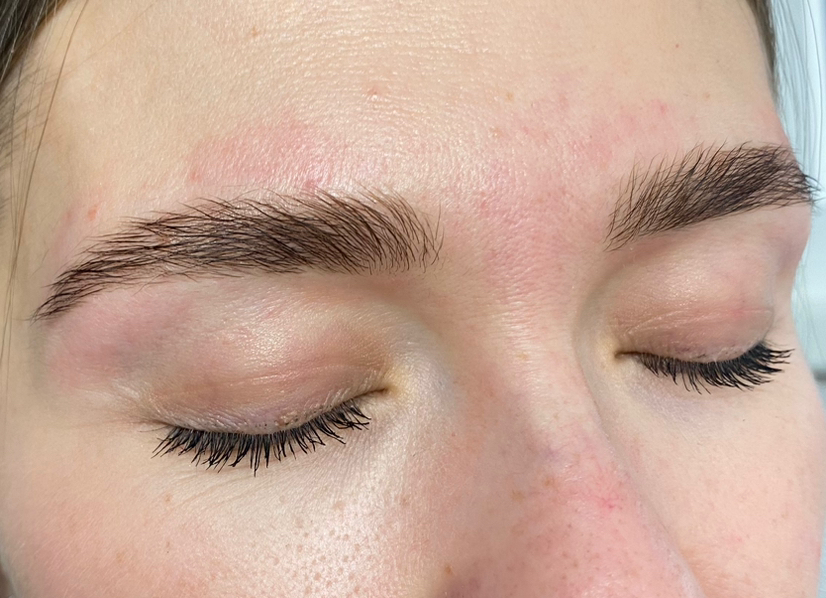 Ламинирование бровей, тонирование краской, коррекция воск/пинцет ( бесплатно удаление пушка над губой или окрашивание ресниц)