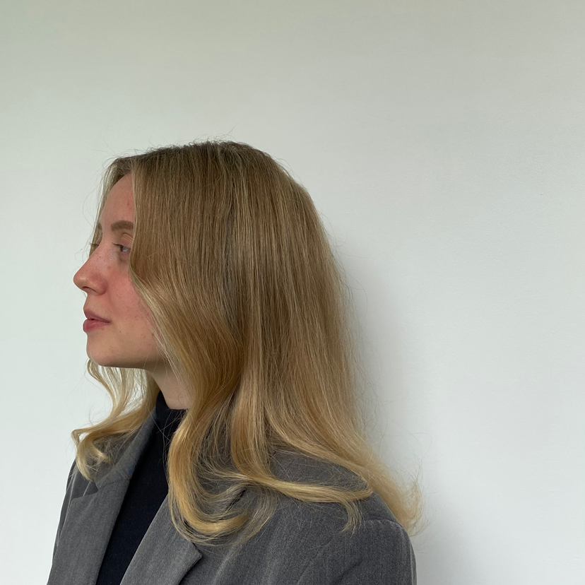 Укладка волос (3 - длинные волосы - ниже середины лопаток)