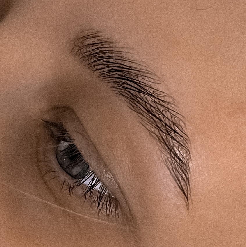 Архитектура бровей