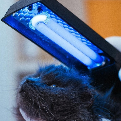 Люминисцентная диагностика